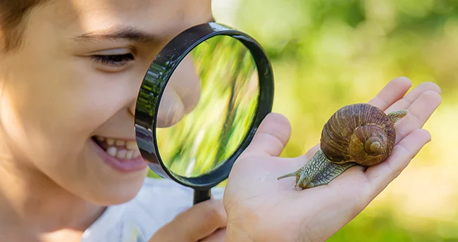 Otto-Pankok-Schule Einblick in den Schulalltag Ein lachendes Kind betrachtet eine große Schnecke auf seiner Hand durch eine Lupe. Die Szene spielt sich im Freien bei Tageslicht ab, mit unscharfem, grünem Hintergrund.